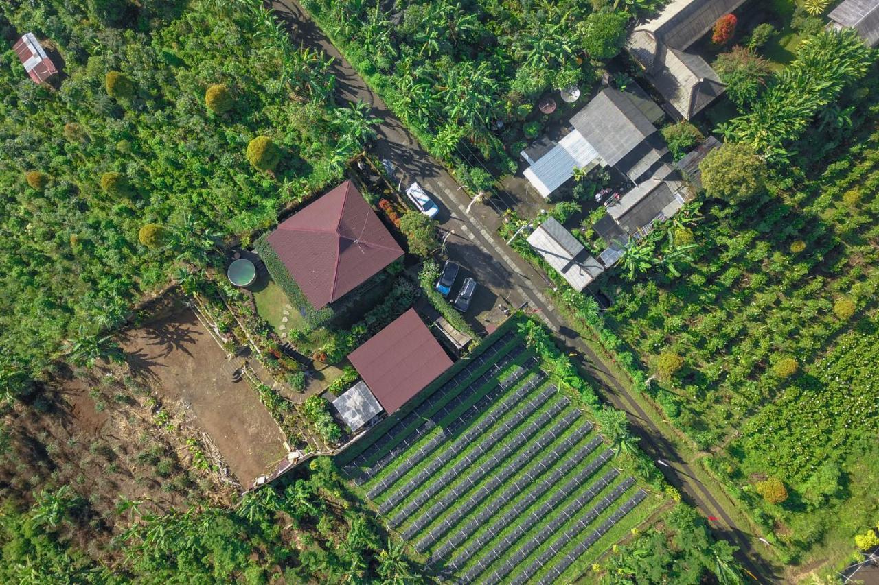 Villa Kayukopi Munduk Exterior foto
